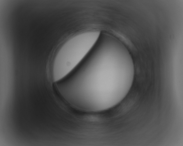X0000101460250200807071138