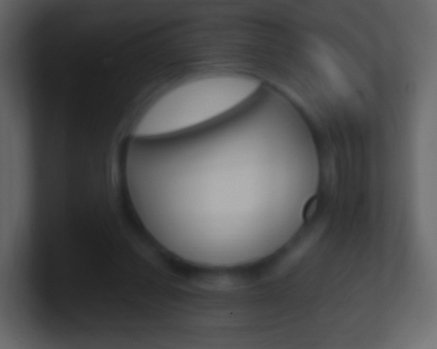 X0000101460254200807071138