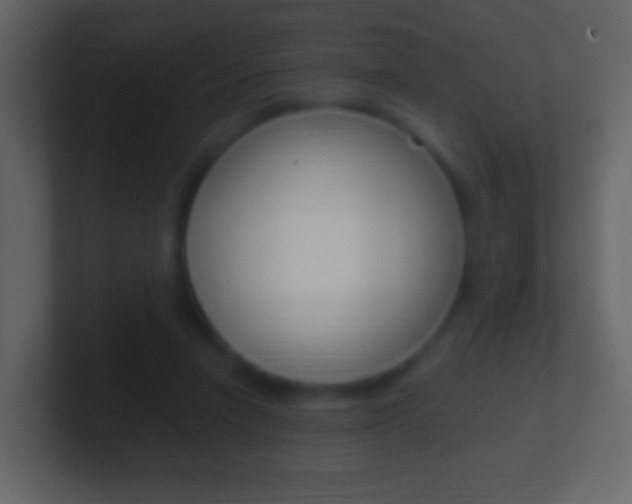 X0000101460258200807071138