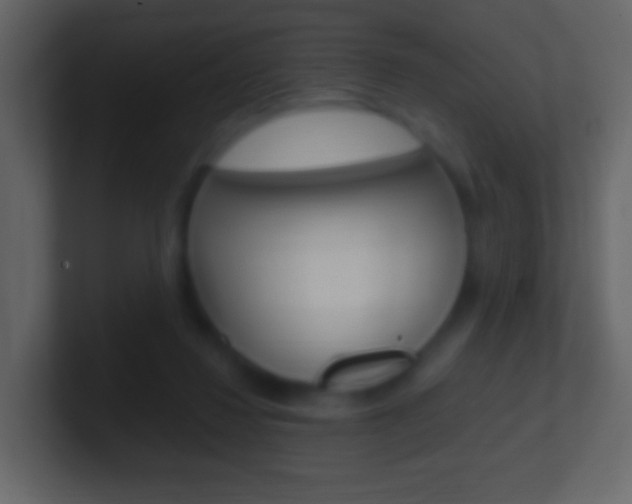 X0000101460260200807071138