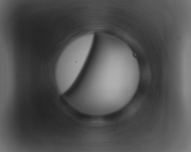 X0000101460262200807071138