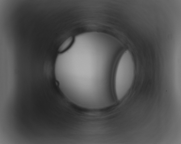 X0000101460266200807071138