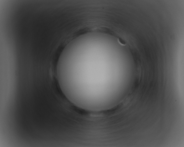 X0000101460272200807071139