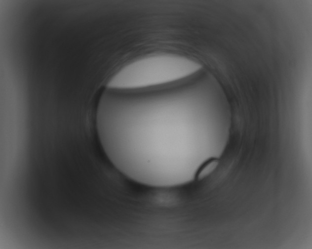 X0000101460275200807071139