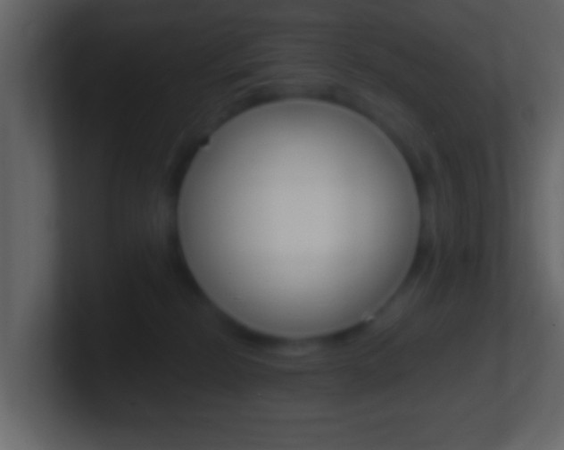 X0000101460278200807071139