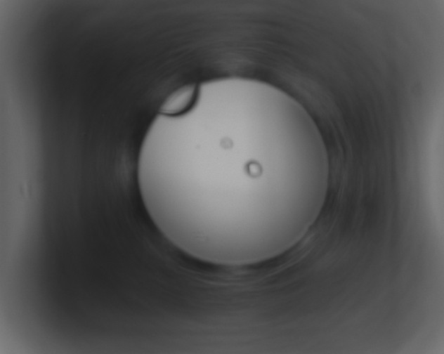 X0000101460279200807071139