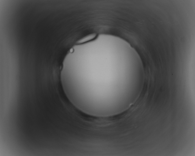 X0000101460280200807071139