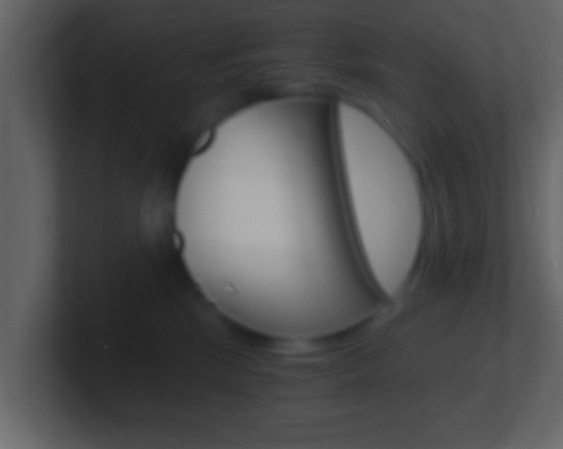 X0000101460281200807071139