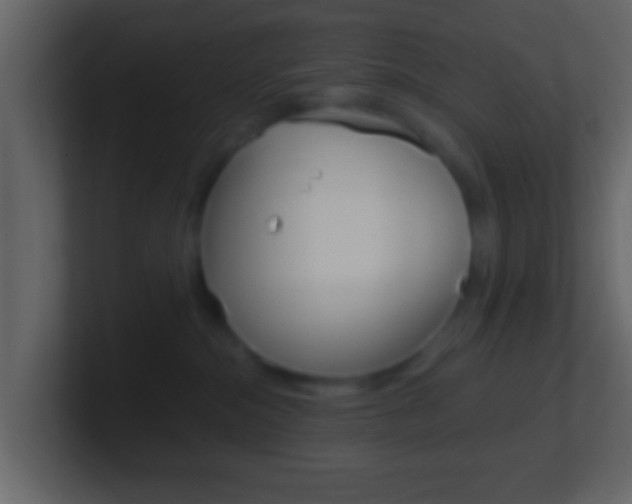 X0000101460284200807071139