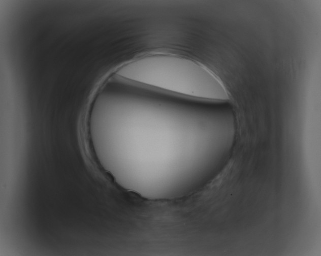X0000101460289200807071138