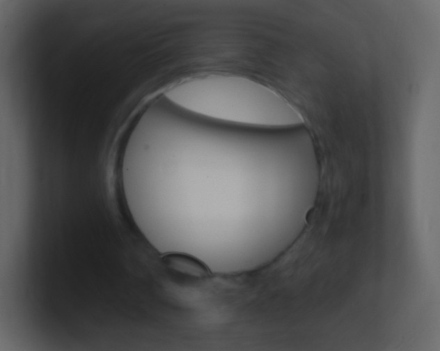 X0000101460290200807071138