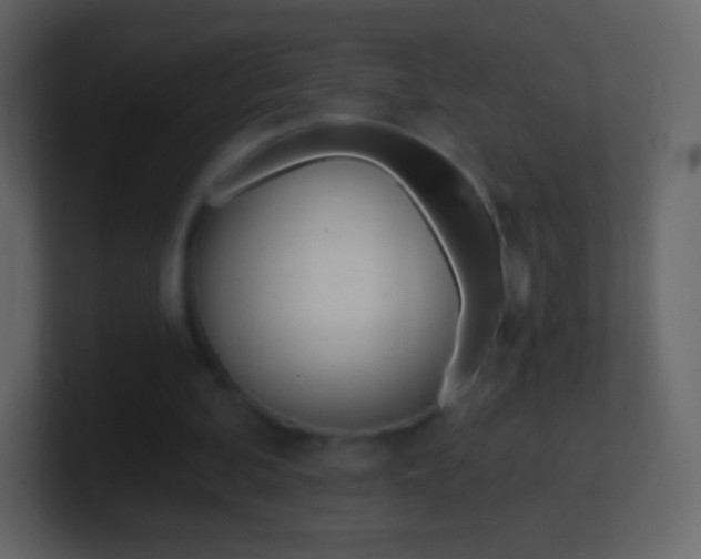 X0000101460292200807071138