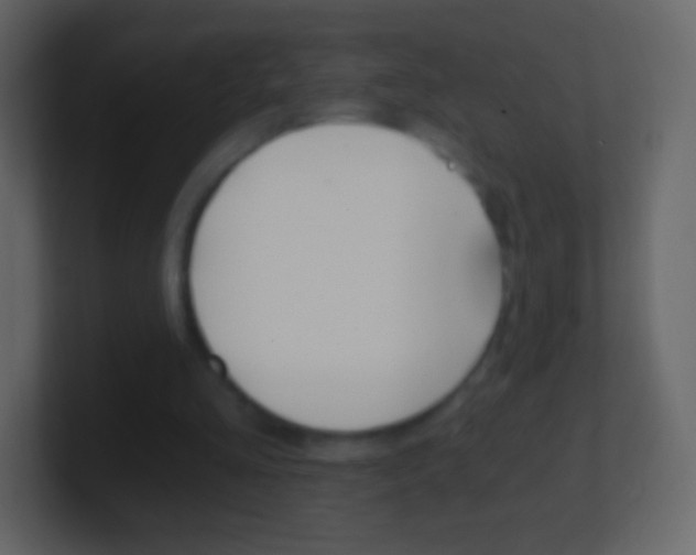 X0000101460293200807071138