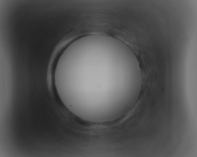 X0000101460294200807071138