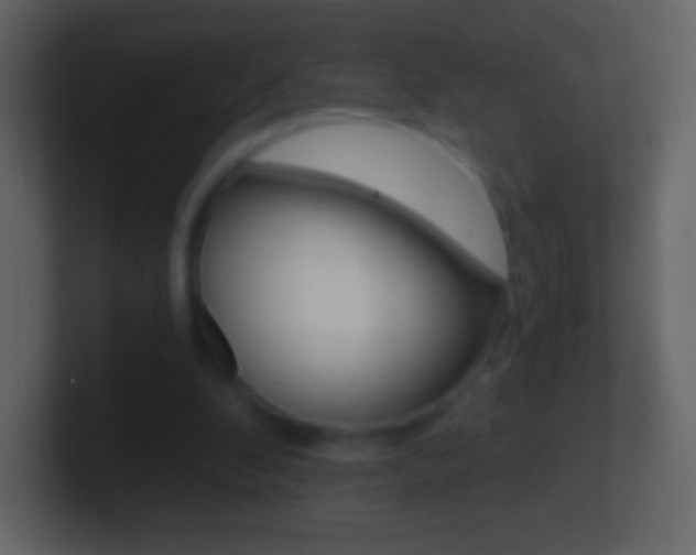 X0000101460296200807071138