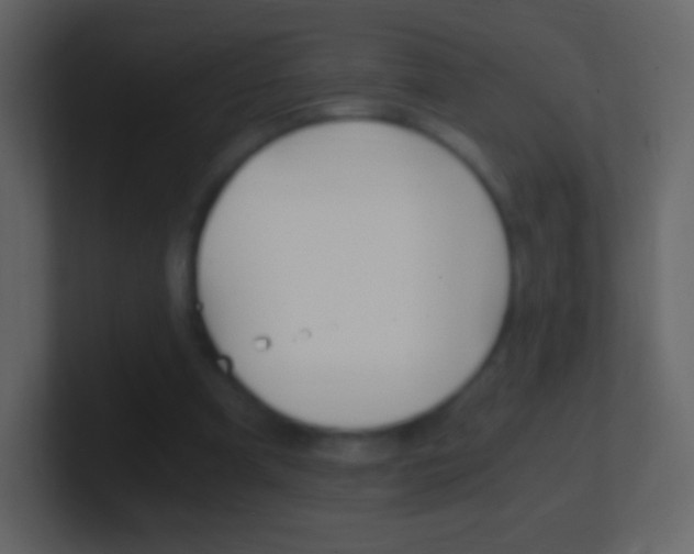 X0000101460297200807071138