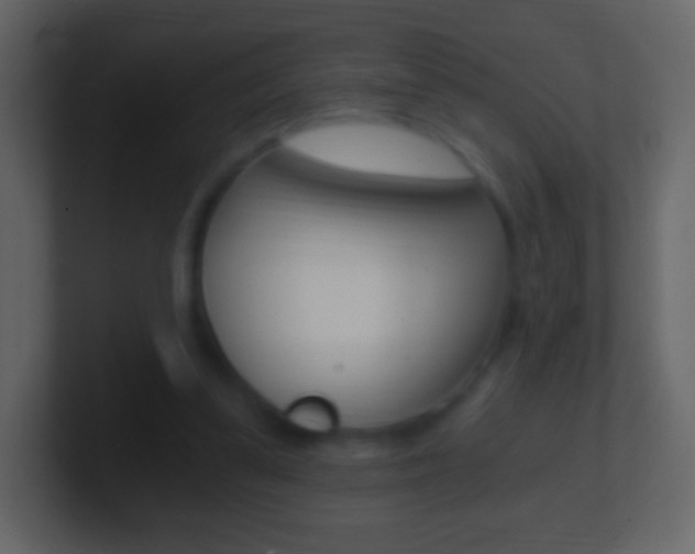 X0000101460299200807071138
