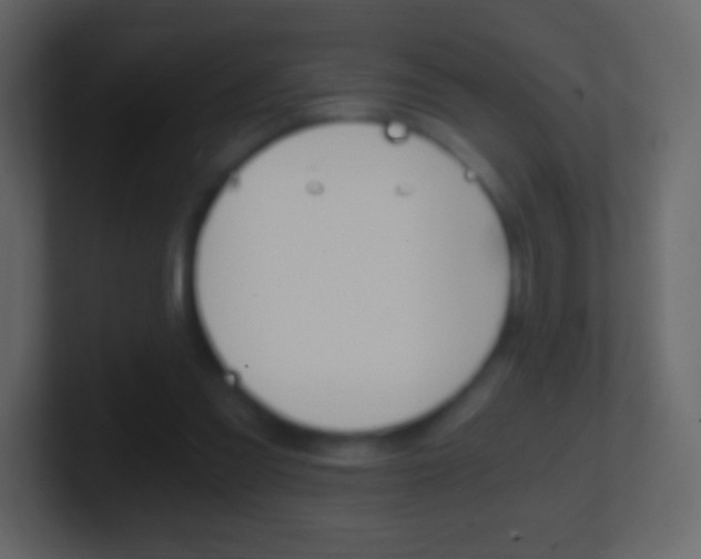 X0000101460301200807071138
