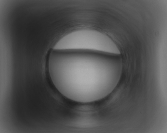 X0000101460303200807071138