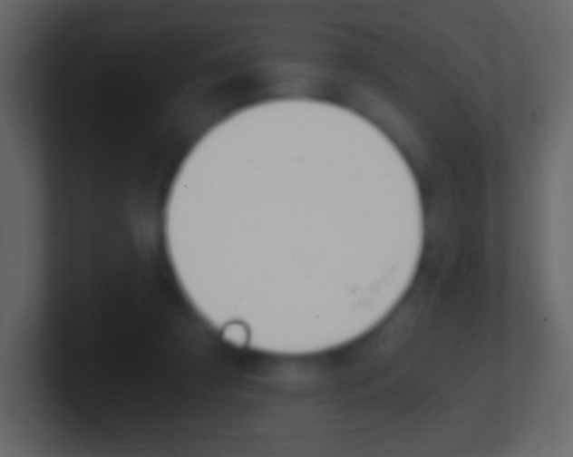 X0000101460305200807071138