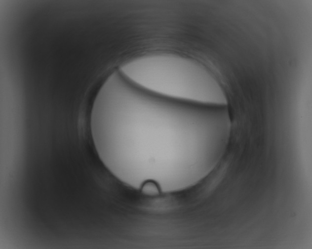 X0000101460306200807071138