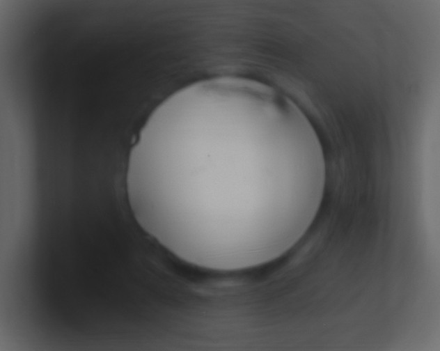 X0000101460307200807071138