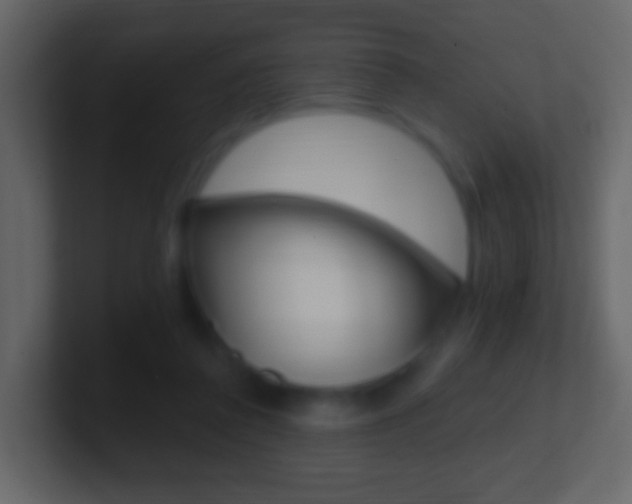 X0000101460308200807071138