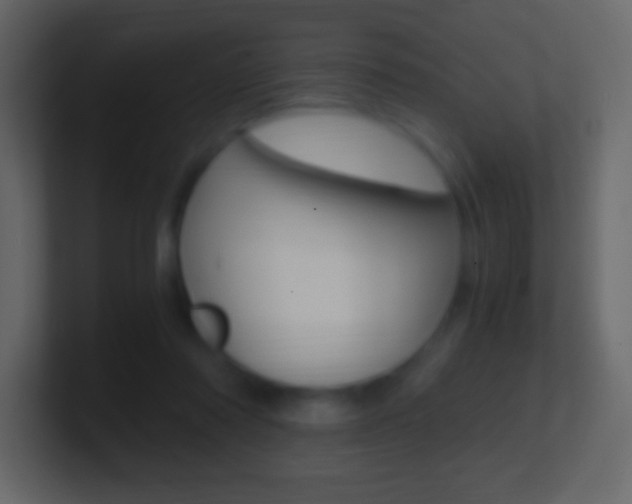 X0000101460310200807071138