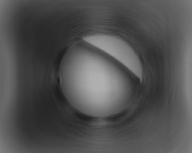 X0000101460316200807071138