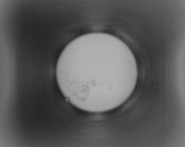 X0000101460321200807071138
