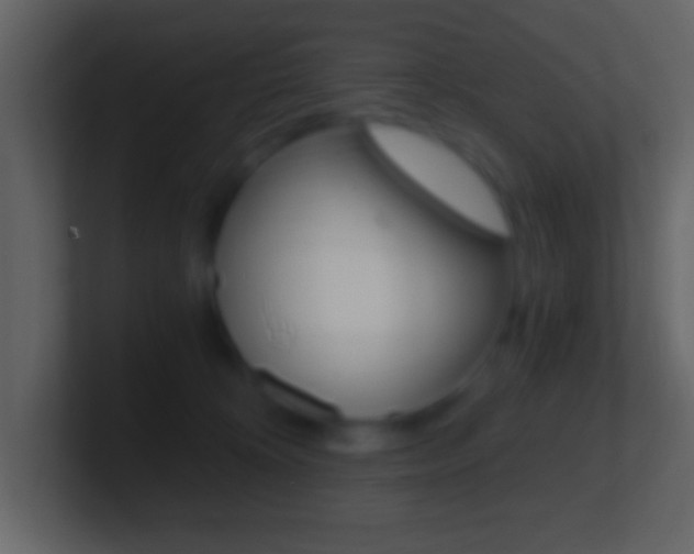 X0000101460324200807071138