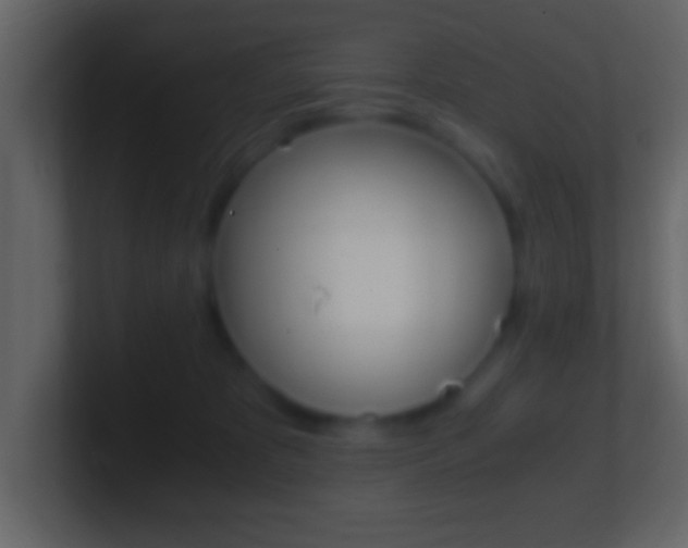 X0000101460325200807071138