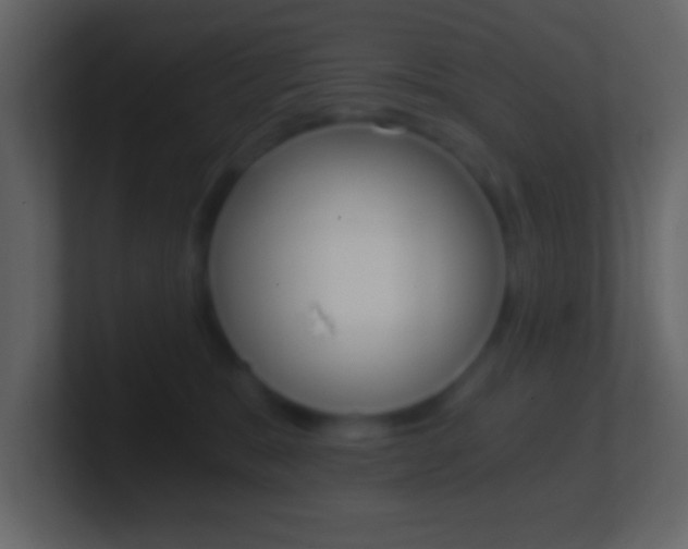 X0000101460327200807071138