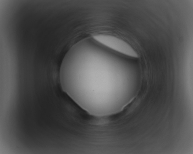 X0000101460328200807071138
