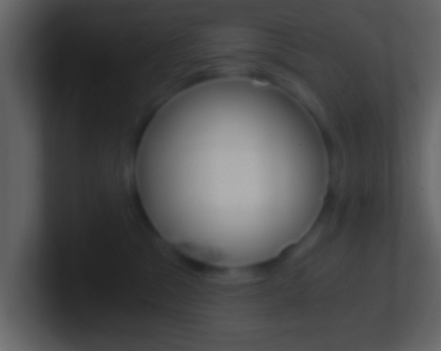 X0000101460329200807071138