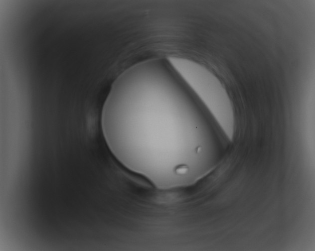 X0000101460332200807071137
