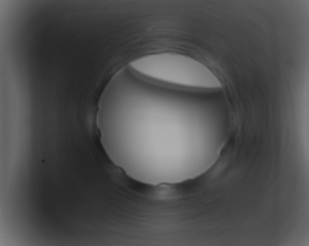 X0000101460333200807071137