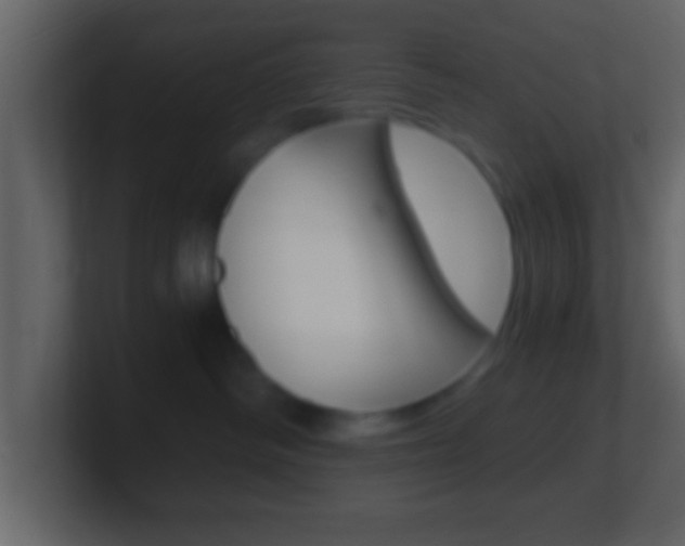 X0000101460334200807071137