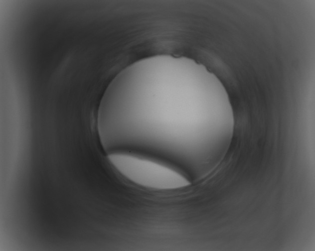 X0000101460335200807071137