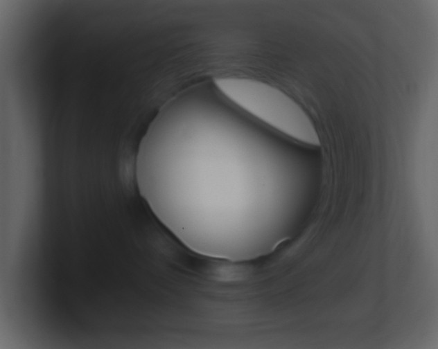 X0000101460336200807071137
