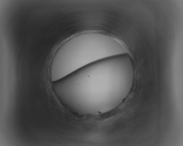 X0000101460337200807071137