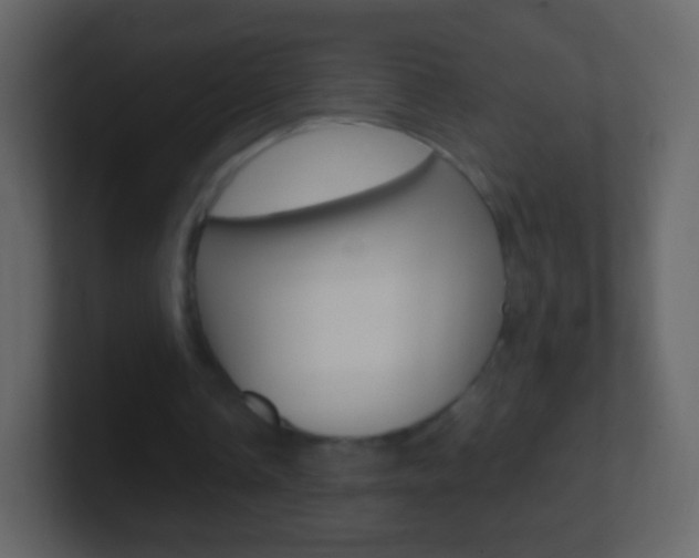 X0000101460338200807071137