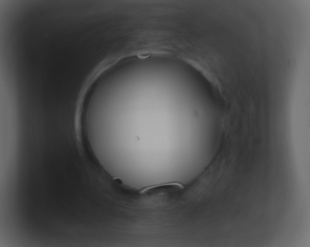 X0000101460340200807071137