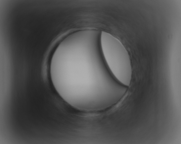 X0000101460342200807071137