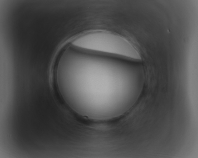 X0000101460344200807071137