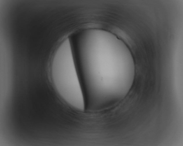 X0000101460345200807071137