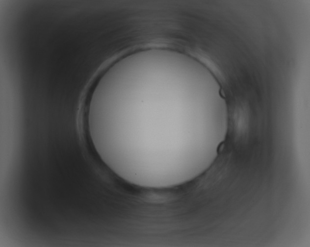 X0000101460346200807071137