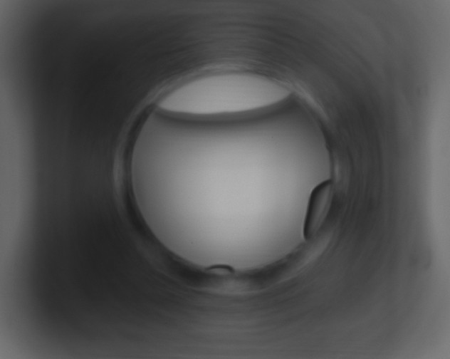 X0000101460348200807071137