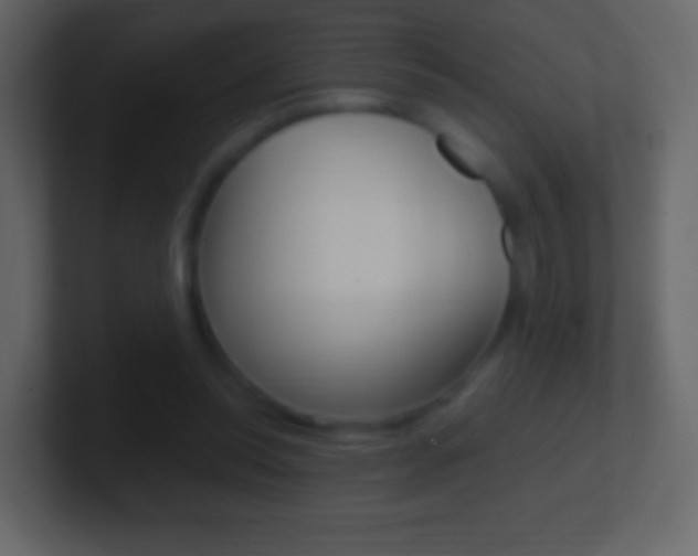 X0000101460350200807071137