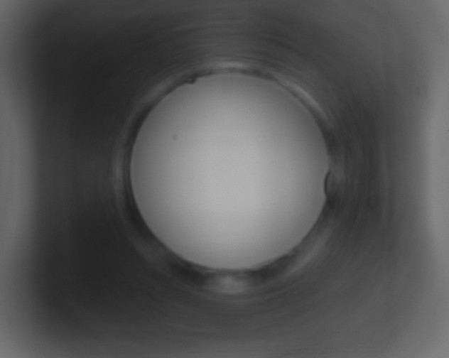 X0000101460352200807071137